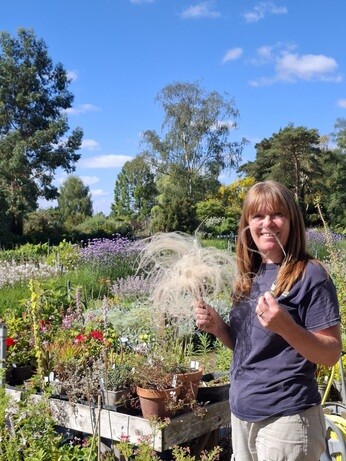 Weekly catch up with garden and propagation