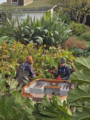 Weekly catch up with garden & propagation