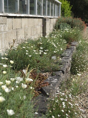 Weekly catch up with garden & propagation