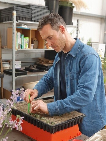 Weekly catch up with garden & propagation