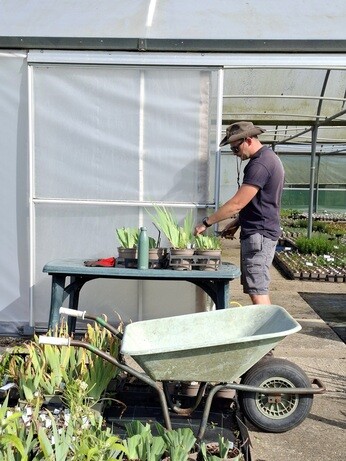 Weekly catch up with garden & propagation