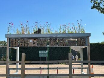 Our Green Roof Bike Shelter 