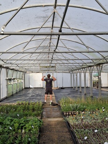 Weekly catch up with garden and propagation Weekly catch up with garden and propagation