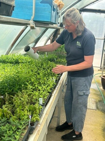 Weekly catch up with garden and propagation