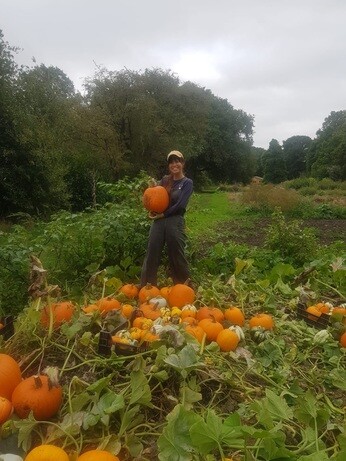 Weekly catch up with garden & propagation