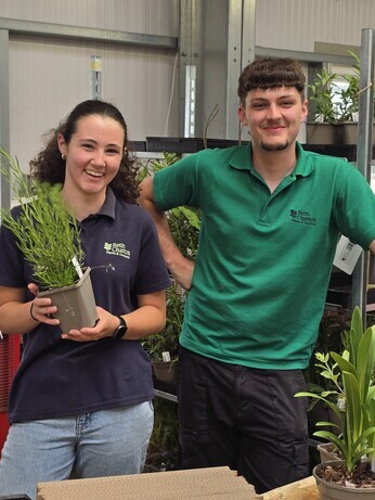 Weekly catch up with garden and propagation