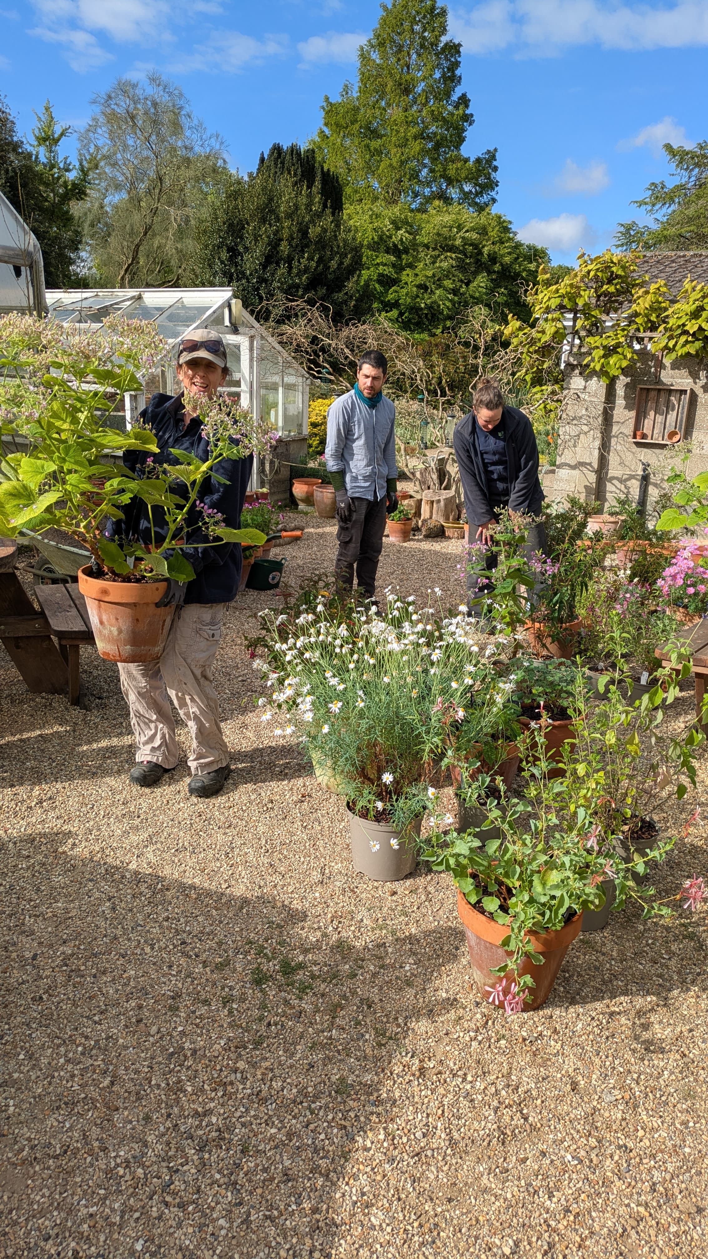 Weekly catch up with garden & propagation