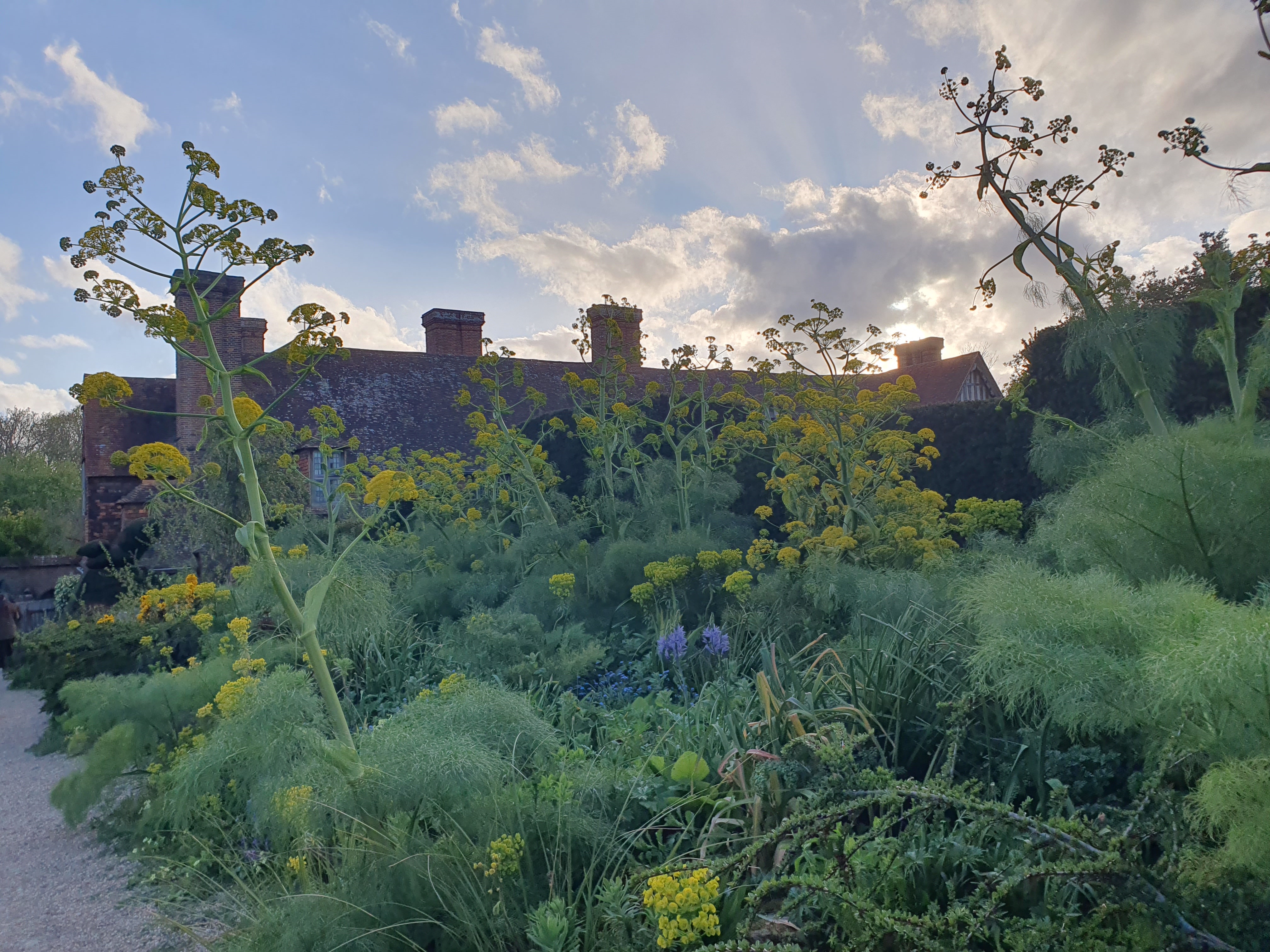 A glorious weekend at Great Dixter's Spring Plant Fair