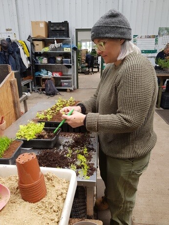 Weekly catch up with garden and propagation