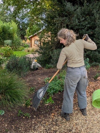 Weekly catch up with garden & propagation Weekly catch up with garden & propagation