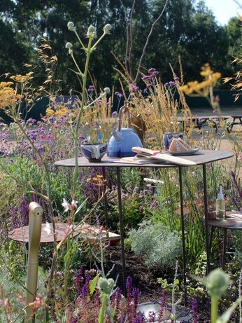 Weekly catchup with garden and propagation