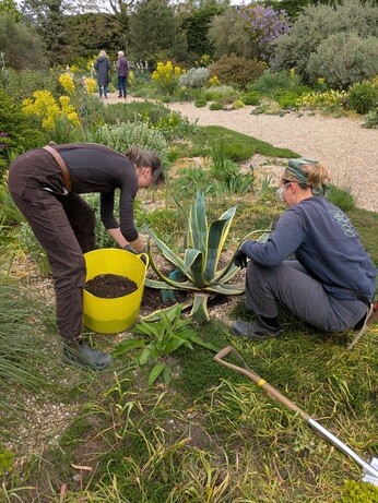 Weekly catch up with gardens & propagation