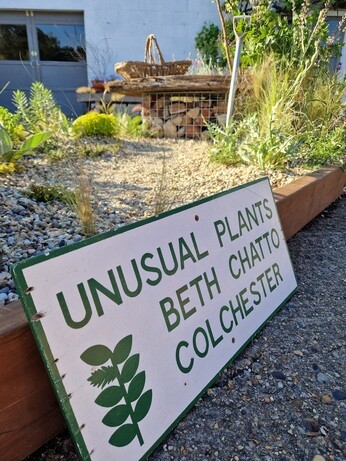 Our Chelsea inspired garden display