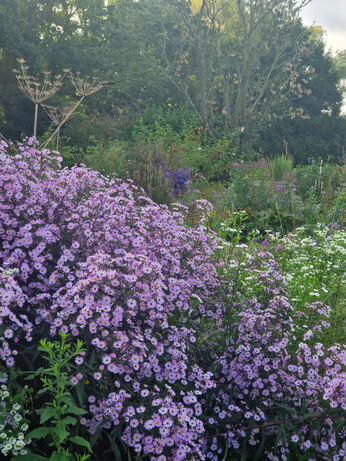 What's still in flower in October?