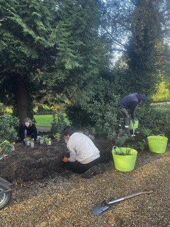 A look back at 2025 with the garden team A look back at 2025 with the garden team