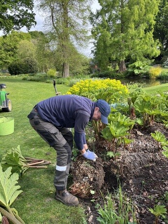 Weekly catch up with gardens & propagation