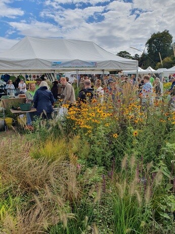 Weekly catch up with garden and propagation