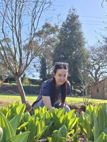 Weekly catch up with gardens & propagation 