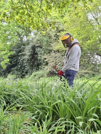 Weekly catch up with gardens & propagation Weekly catch up with gardens & propagation