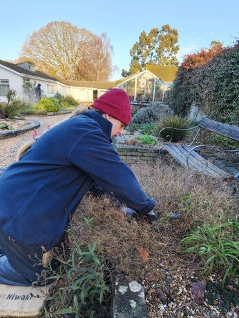 Weekly catch up with garden & propagation
