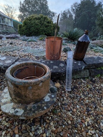 Weekly catch up with garden & propagation