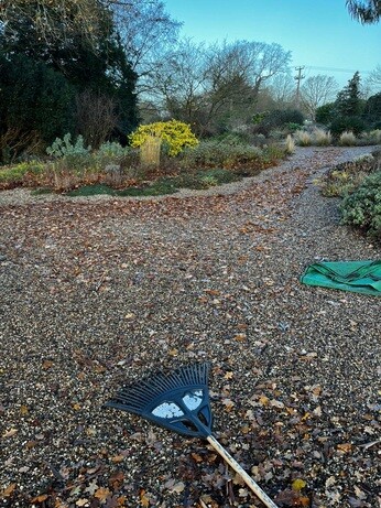 Weekly catch up with garden & propagation Weekly catch up with garden & propagation