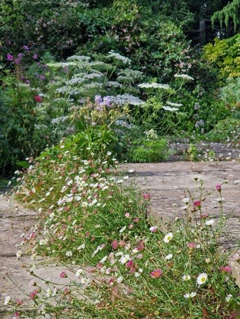 Gardening Dilemmas - Part 2 Gardening Dilemmas - Part 2