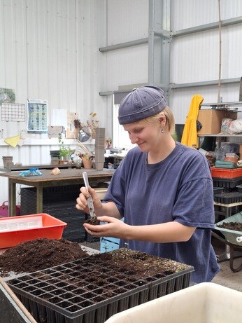 Weekly catch up with garden and propagation