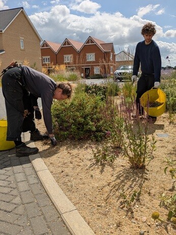 A look back at 2025 with the garden team A look back at 2025 with the garden team