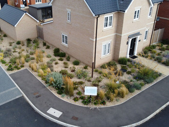 Planting at Chattowood Housing Development Planting at Chattowood Housing Development