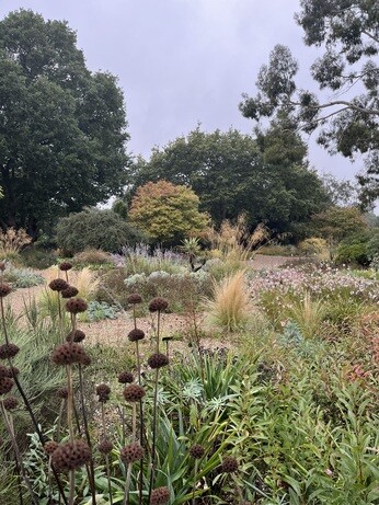 Weekly catch up with garden & propagation