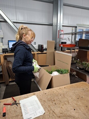 January news from the garden and propagation