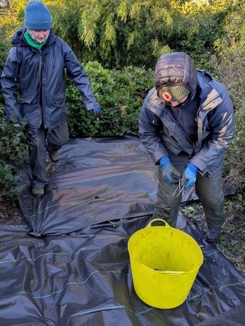 Weekly catch up with garden & propagation