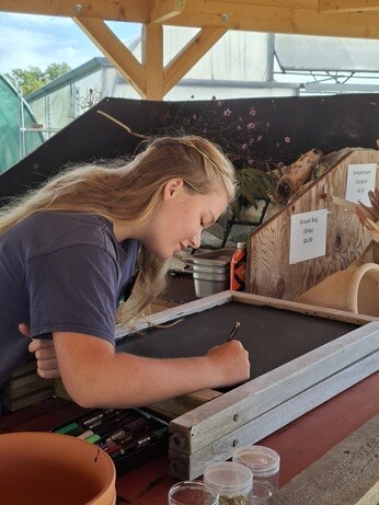 Weekly catch up with garden & propagation