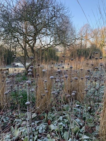 Weekly catch up with gardens & propagation 