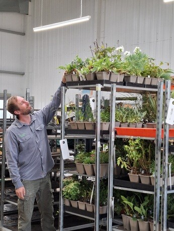 Weekly catch up with garden and propagation