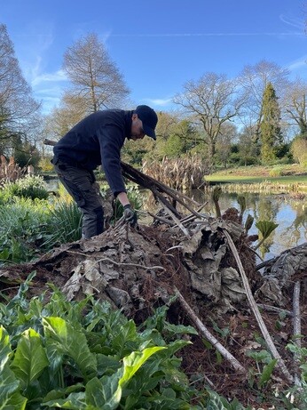 Weekly catch up with gardens & propagation Weekly catch up with gardens & propagation
