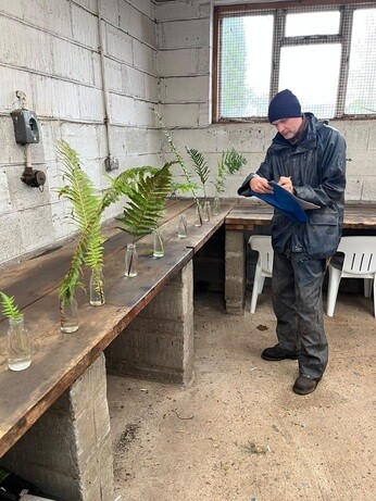 Weekly catch up with garden and propagation