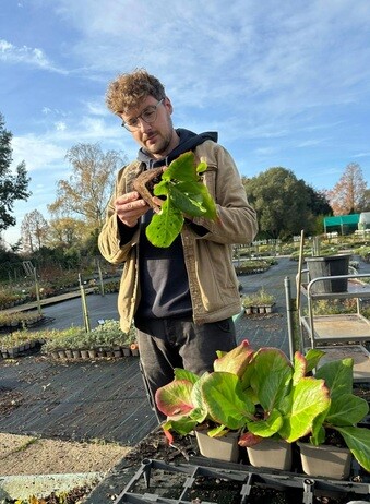 Weekly catch up with garden & propagation