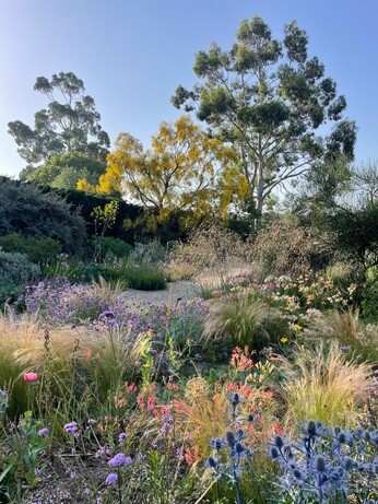 Weekly catch up with garden and propagation