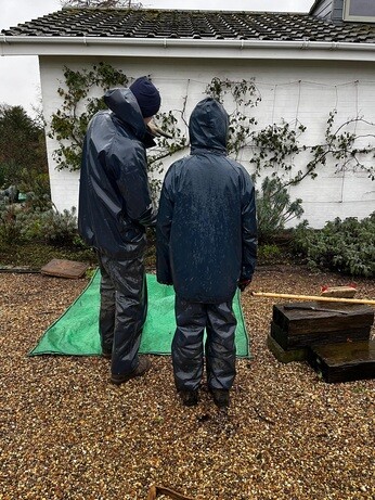 Weekly catch up with garden & propagation