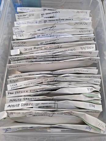 Seed sowing in winter