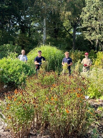 Weekly catchup with garden and propagation Weekly catchup with garden and propagation