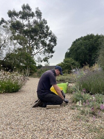 Weekly catch up with garden & propagation