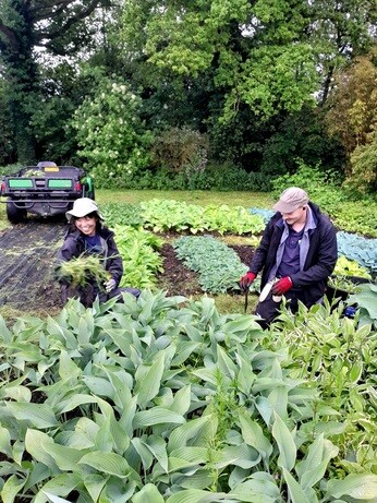 Weekly catch up with garden & propagation