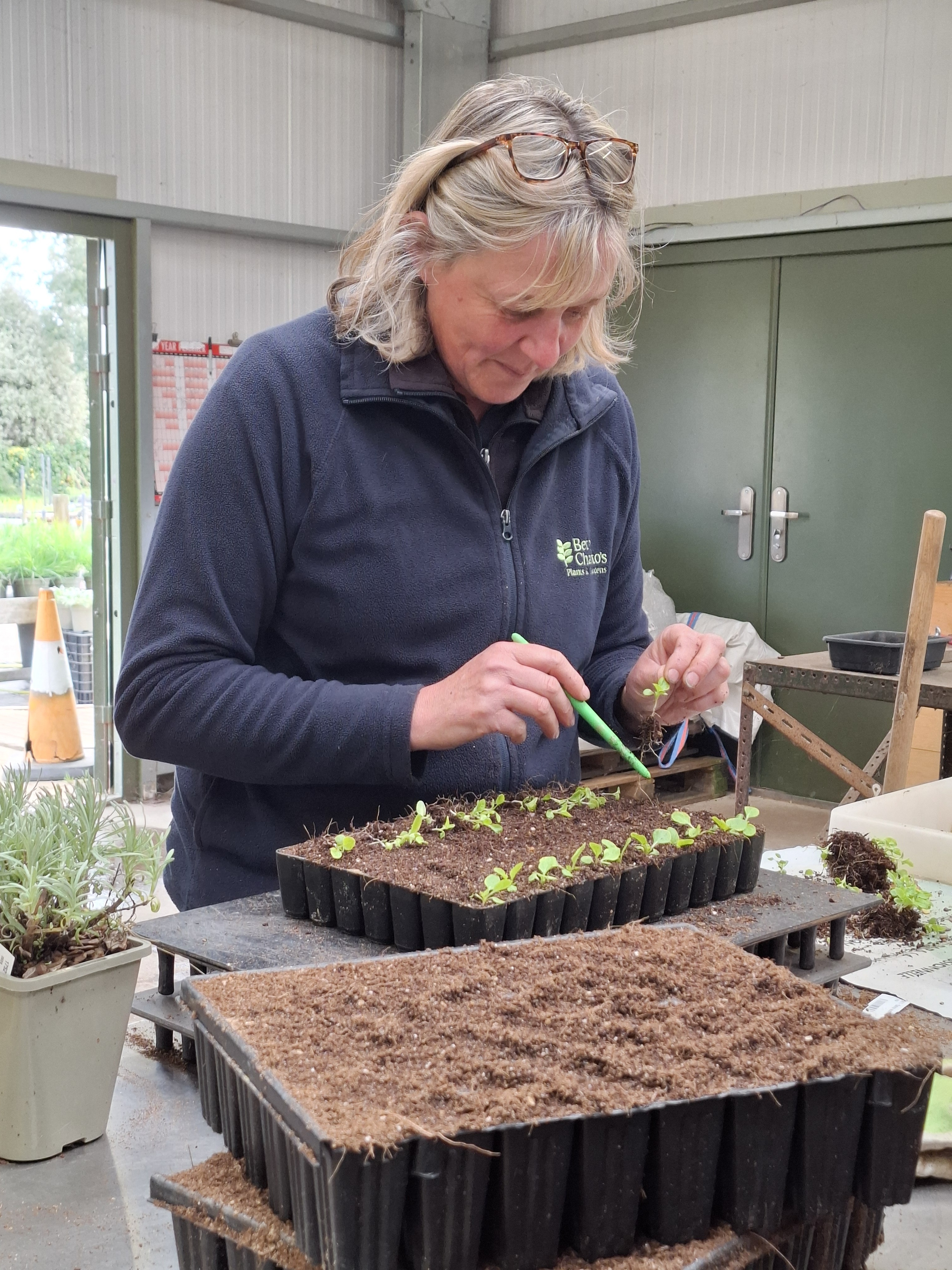 Weekly catch up with garden & propagation