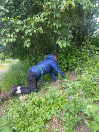 Weekly catch up with garden and propagation