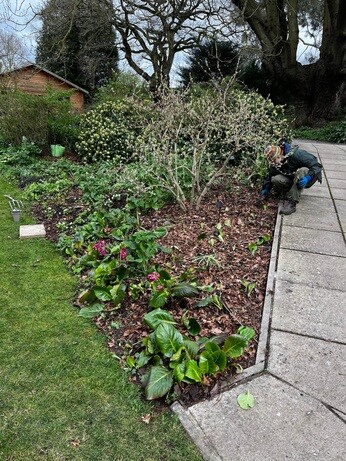 Weekly catch up with garden & propagation Weekly catch up with garden & propagation