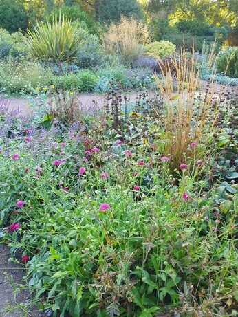Weekly catch up with garden & propagation