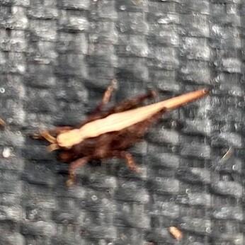 Wild Words from the Ground - October Wild Words from the Ground - October